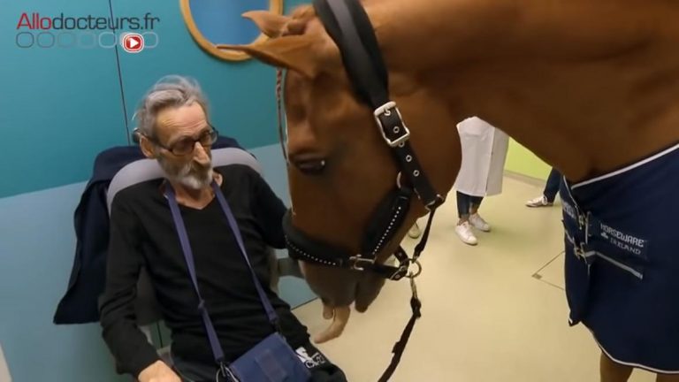 A sort of silent communication between Peyo and the patients takes place and people even cry in the horse’s presence.