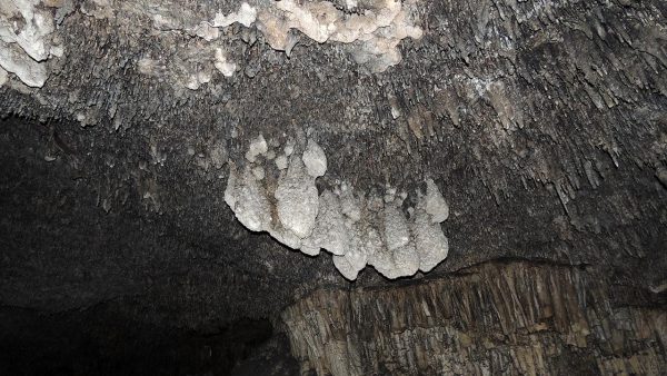 A closeup of the bulbous stalactitic feature of a phreatic overgrowth on speleothems (POS). (Image: UNM Newsroom)