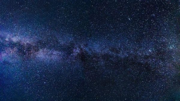 (Image via pexels / CC0 1.0)