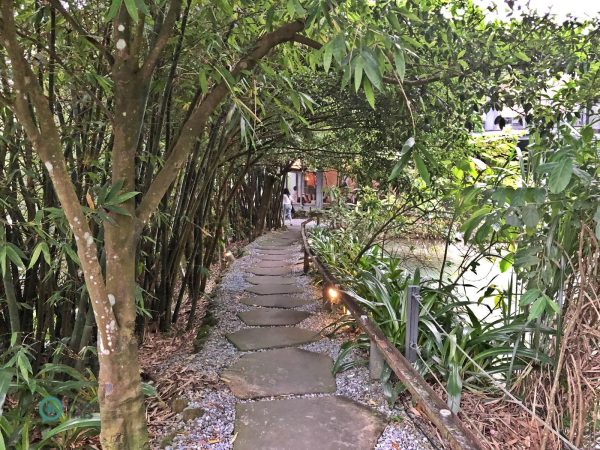 Visitors have to walk through a leafy stretch before getting to the entrance of the restaurant. (Image: Billy Shyu / Vision Times)