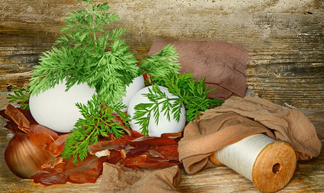 Onions are powerful healers.