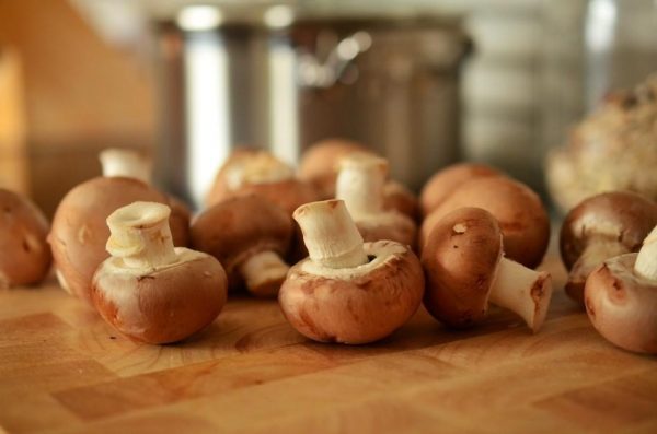 Mushroom nurtures the spleen and stomach. (Image: pixabay / CC0 1.0)