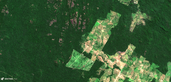(Image: Sentinel Hub via flickr CC BY 2.0 )