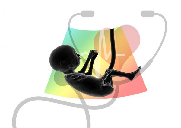 Researchers looked for alcohol-induced DNA changes in pregnant women and their children. They found changes to two genes – POMC, which regulates the stress-response system, and PER2, which influences the body’s biological clock – in women who drank moderate to high levels of alcohol during pregnancy and in children who had been exposed to those levels of alcohol in the womb. (Image: via pixabay / CC0 1.0)