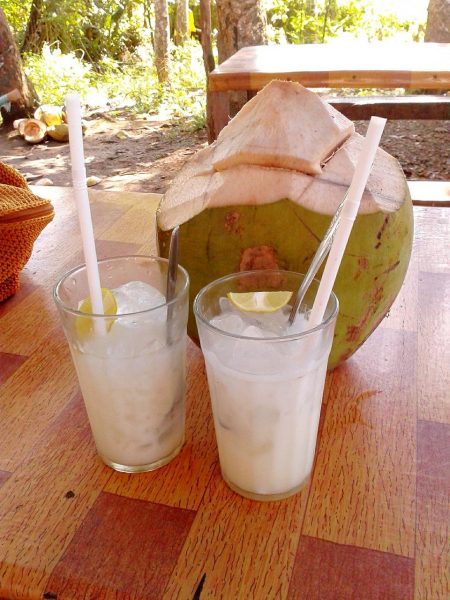 Coconut milk can be bought in tins that you can dilute, or as packaged pouring milk that’s made from shredded coconut. (Image: maxpixels / CC0 1.0) 