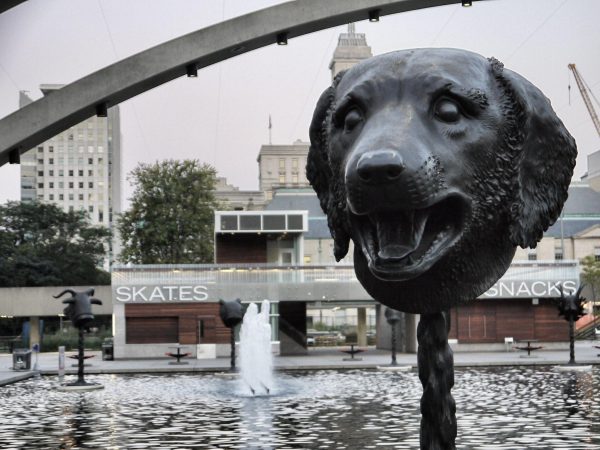 The Dog is as loyal as his western counterpart but can have a sharp bite and a determined bark. (Image: Cameron Norman via flicker / CC BY 2.0 )