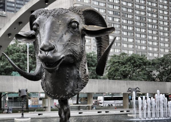 The Goat is an independent, introspective creature, preferring the interior world of its own imagination to the drudgery of the materialistic world. (Image: Cameron Norman via flicker / CC BY 2.0 )