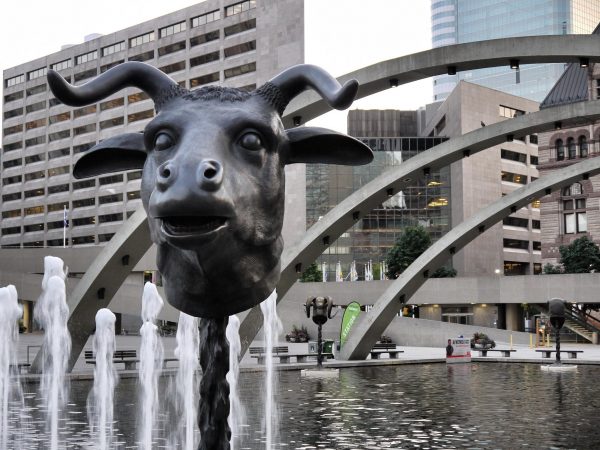 The Ox is sturdy and steadfast, a born leader and a great practical thinker. (Image: Cameron Norman via flicker / CC BY 2.0 )