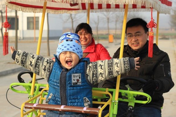 Couples circumvented the ruling by transferring ownership to their children. (Image: via pixabay / CC0 1.0)