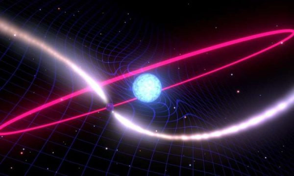 Artist's depiction of a rapidly spinning neutron star and a white dwarf dragging the fabric of space time around its orbit. (Image: Mark Myers, OzGrav ARC Centre of Excellence)