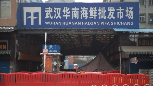 Bo accuses the Chinese government of suppressing information about the virus when it first emerged. (Image: Screenshot / YouTube)