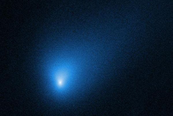 NASA’s Hubble Space Telescope took this photo of the interstellar comet 2I/Borisov in October 2019, two months before its closest approach to the sun. (Photo courtesy of NASA, ESA and D. Jewitt, UCLA)