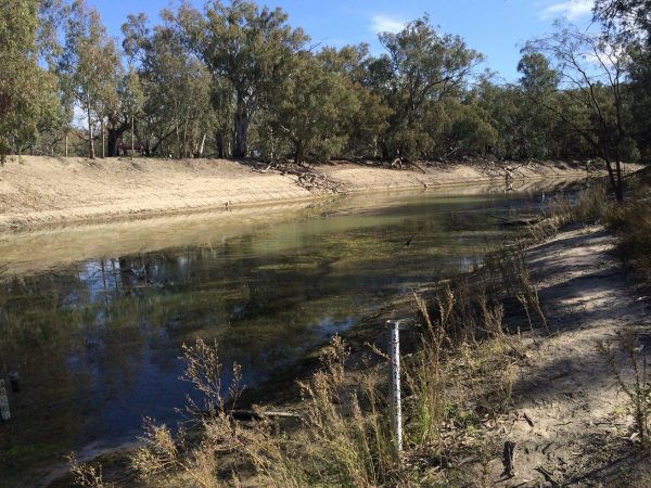 The Darling River near Pooncarie N.S.W in July 2015. It's hard to believe that the early pioneers once travelled on this river in a Paddlesteamer! Image by Trisha Haddock.