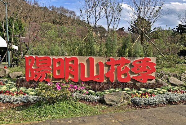 The Yangmingshan Flower Festival is one of the major annual events organized by the Taipei City Government. (Image: Julia Fu / Vision Times)