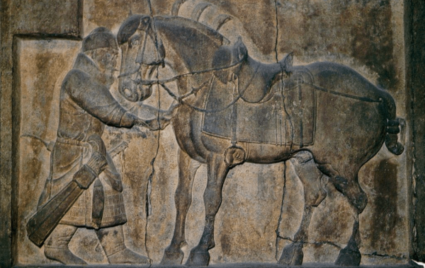 (Image: wikimedia / CC0 1.0)