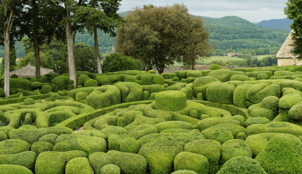 (Image: Edwin van Buuringen via flickr CC BY 2.0 )