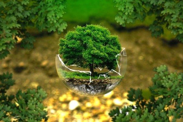 Researchers previously discovered that, based on near-daily NASA and NOAA satellite imaging observations since the early 1980s, vast expanses of the Earth’s vegetated lands from the Arctic to the temperate latitudes have gotten markedly more green. (Image: via pixabay / CC0 1.0)