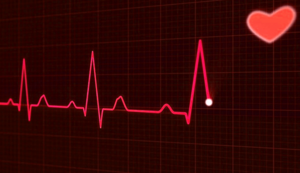 Coenzyme Q10 is the main source of energy for the heart.