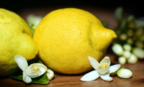 According to traditional Chinese Mmedicine, adding a squeeze of lemon to fatty, greasy, and oily food stimulates the liver to produce bile, which will break down the fats.