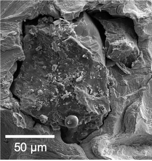 A tiny grain of lunar soil brought back by Apollo 17, magnified under a scanning electron microscope. (Image: (c) Jennika Greer, Field Museum)