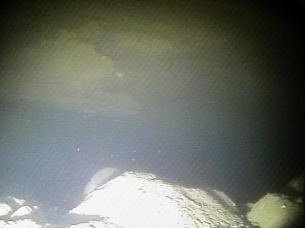 The first-ever images have been taken of the grounding zone of Thwaites Glacier in Antarctica. The grounding line just behind it is an integral factor in the glacier's stability or lack thereof. It is tied to the fate of global sea-levels. At top, the glacier, at bottom, the seafloor. (Image: International Thwaites Glacier Collaboration / Georgia Tech-Schmidt lab)