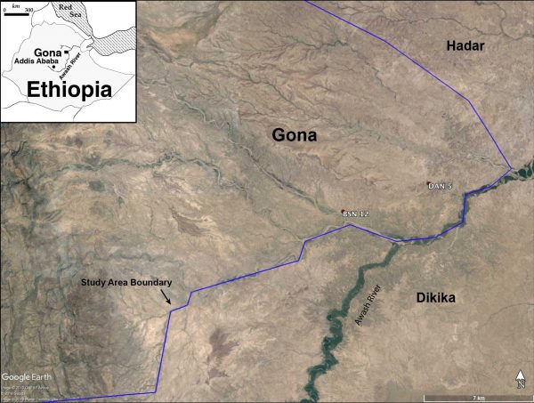 GoogleEarth Map of the Gona study area, showing locations of BSN12 and DAN5. (Image: Google)