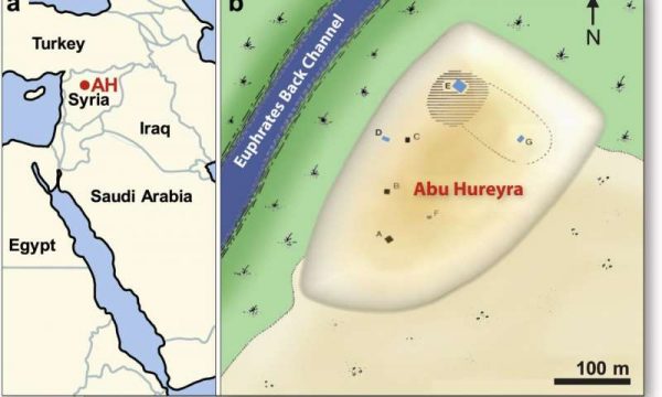 Location of Abu Hureyra (adapted from Moore et al.. (a) Map of the Middle East, showing Abu Hureyra location (AH) in Syria. (b) Map of the Abu Hureyra tell, showing locations of excavation trenches labeled A-G near a back channel of Euphrates River that is now abandoned. Sediment samples from Trenches D, E, and G (blue rectangles) contain abundance peaks in YDB proxies, including spherules, nanodiamonds, meltglass, and platinum. Credit: Scientific Reports (2020). DOI: 10.1038/s41598-020-60867-w