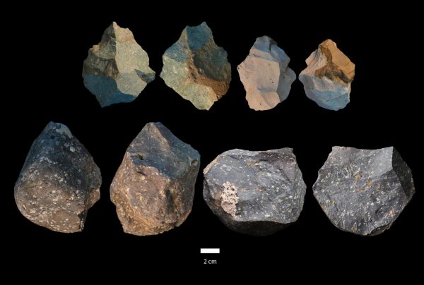 The evidence from Gona suggests a lengthy and concurrent use of both Oldowan and Acheulian technologies by a single long-lived species, H. erectus, the variable expression of which deserves continued research, according to the researchers. (Image: University of Michigan)