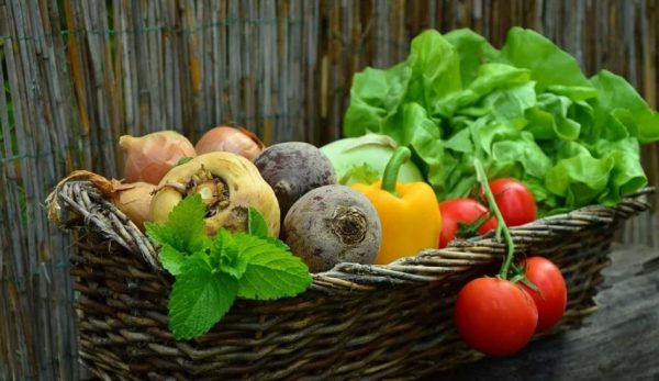 Scholars said that the secret of the Hunzas’ longevity lies in their diet and lifestyle, which is based mainly on raw natural vegetables and fruit. (Image: pixabay / CC0 1.0)