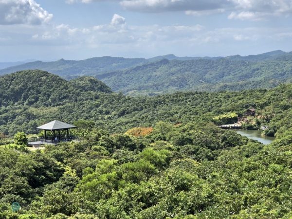 A panoramic view of the Lover's Lake Park from the top of Observation Tower. (Image: Billy Shyu / Vision Times)