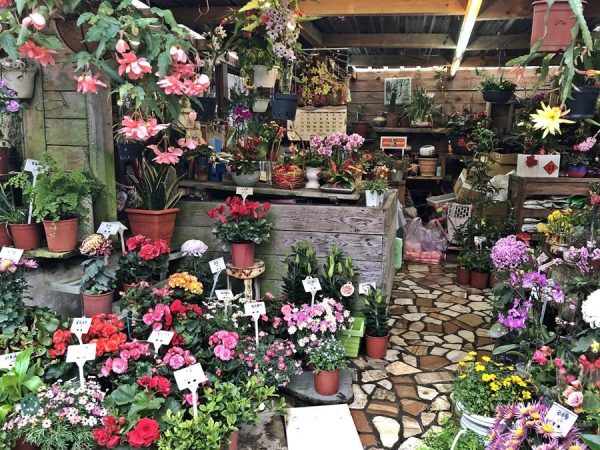 The small flower boutique is situated near the main entrance. (Image: Billy Shyu / Vision Times)
