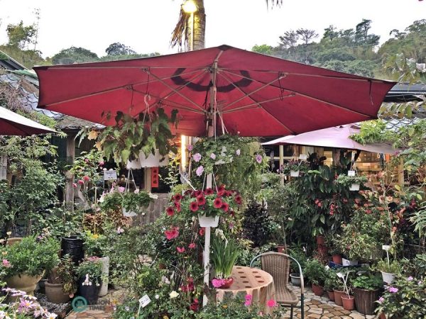 Visitors can have a nice cup of coffee or a drink at a table outside the restaurant. (Image: Billy Shyu / Vision Times)