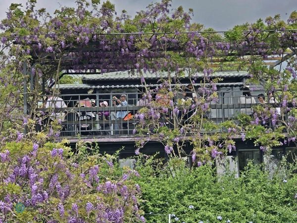 The two--story cafe in the Wisteria Coffee Plantation’s Shui Yuan Park. (Image: Julia Fu / Vision Times)