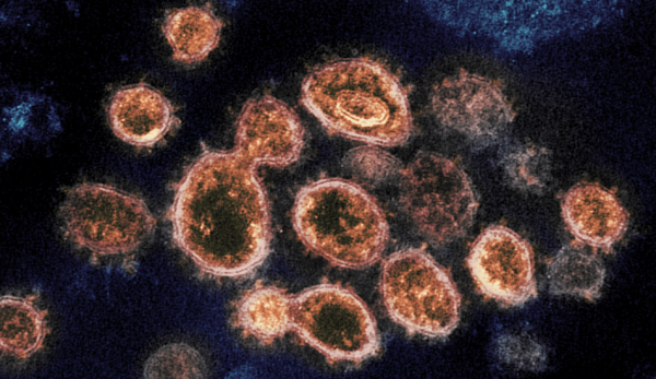 (Image: NIH Image Gallery / CC0 1.0)