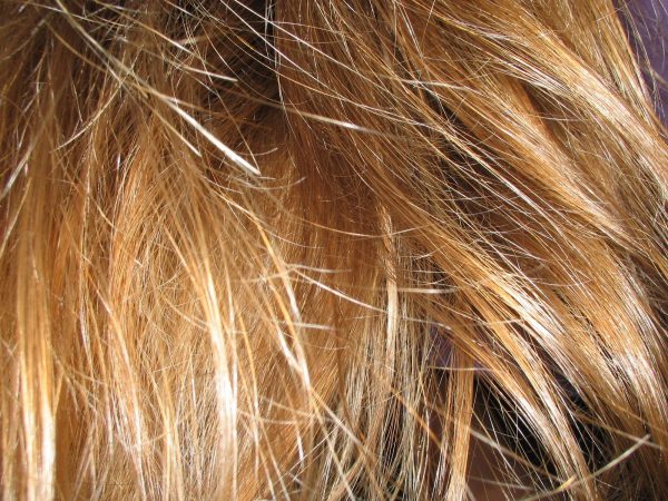 To develop a good combing habit, you need to follow certain rules. (Image: freeimages / CC0 1.0)