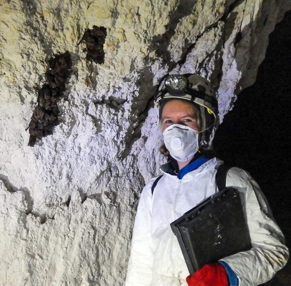 Hohoff monitors hibernating bats in southern Illinois in winter. (Image: Jocelyn Karsk)