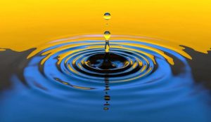 Water dripping into a still pool.
