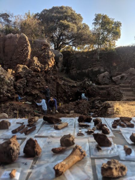 The Drimolen excavations and excavated fossils. (Image: Andy Herries)