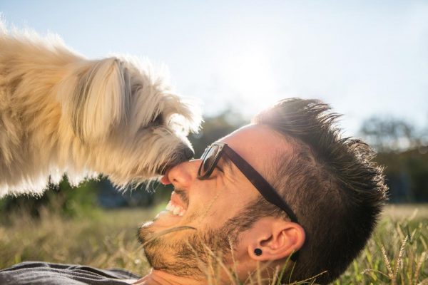 Dog licking its owner on a sunny day- that many people effected by a coronavirus lockdown will wish for too.