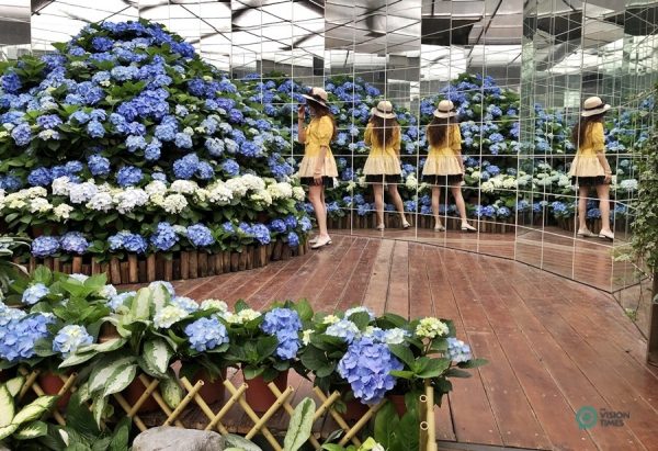 The “Flowers in Mirrors” in Orchid Hall. (Image: Billy Shyu / Vision Times)