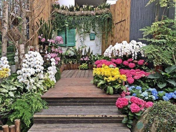 The beautiful flowers in the Orchid Hall. (Image: Billy Shyu / Vision Times)