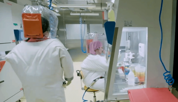 Scientists will research Taylor's recovery.(Image: Screenshot / YouTube)