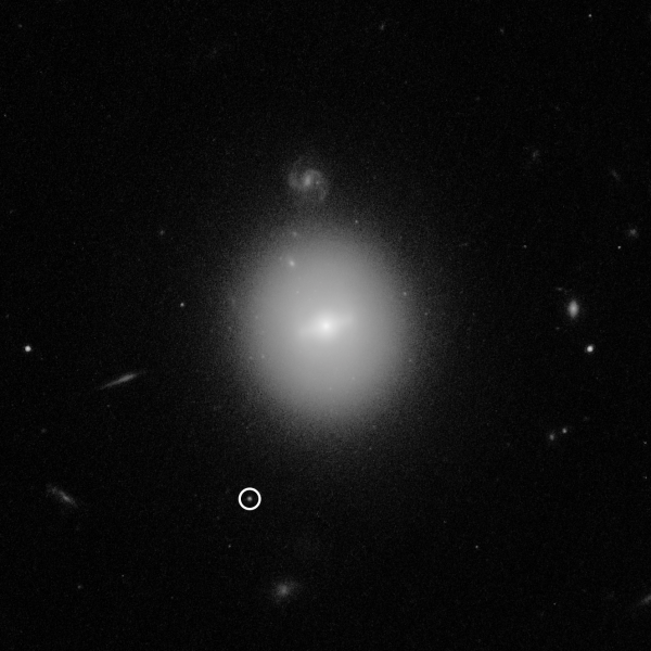 This Hubble Space Telescope image identified the location of an intermediate-mass black hole, weighing 50,000 times the mass of our Sun (making it much smaller than supermassive black holes found in the centers of galaxies). The black hole, named 3XMM J215022.4?055108, is indicated by the white circle. The elusive type of black hole was first identified in a burst of telltale X-rays emitted by hot gas from a star as it was captured and destroyed by the black hole. Hubble was needed to pinpoint the black hole's location in visible light. Hubble's deep, high-resolution imaging shows that the black hole resides inside a dense cluster of stars that is far beyond our Milky Way galaxy. The star cluster is in the vicinity of the galaxy at the center of the image. Much smaller-looking background galaxies appear sprinkled around the image, including a face-on spiral just above the central foreground galaxy. This photo was taken with Hubble's Advanced Camera for Surveys. (Image: NASA, ESA and D. Lin (University of New Hampshire))