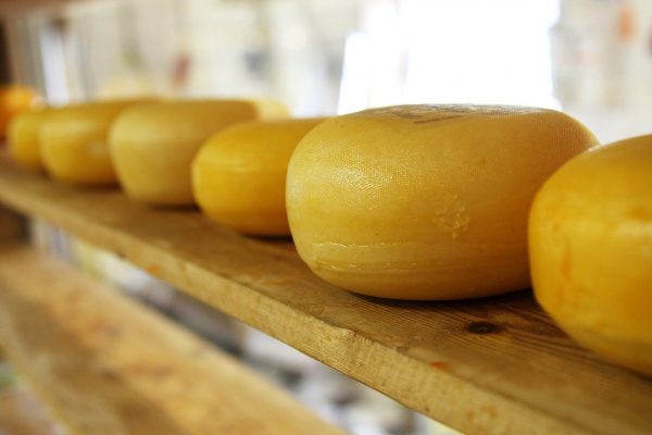 If you've ever enjoyed a slice of cheese, you've enjoyed a byproduct of bioprocessing. (Image: Max Pixel / CC0 1.0)