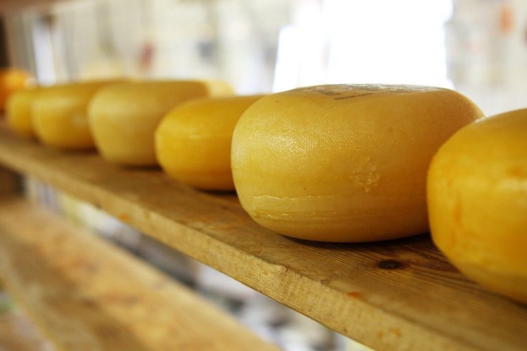 If you've ever enjoyed a slice of cheese, you've enjoyed a byproduct of bioprocessing.