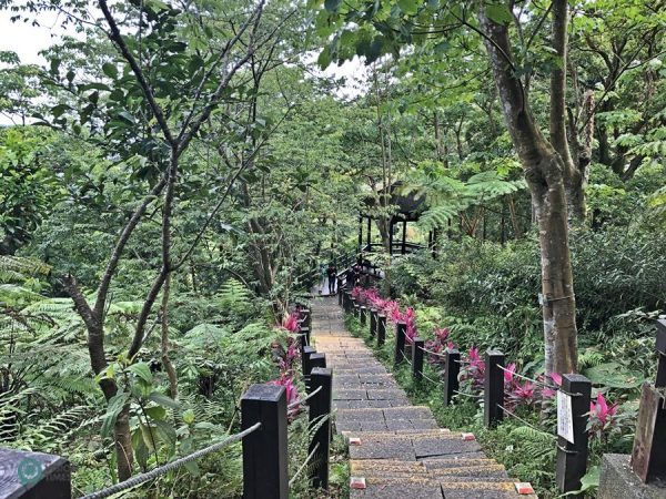 One of the hiking trails at the Tucheng Tung Blossom Park in New Taipei City. (Image: Billy Shyu / Vision Times)
