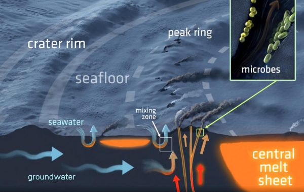 A three-dimensional cross-section of the hydrothermal system in the Chicxulub impact crater and its seafloor vents. The system has the potential for harboring microbial life. (Image: Victor O. Leshyk for the Lunar and Planetary Institute)