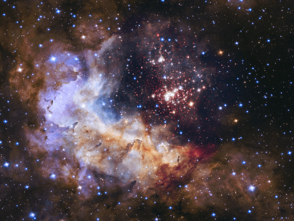 The brilliant tapestry of young stars flaring to life resembles a glittering fireworks display in this Hubble Space Telescope image. The sparkling centerpiece of this fireworks show is a giant cluster of thousands of stars called Westerlund 2. The cluster resides in a raucous stellar breeding ground known as Gum 29, located 20,000 light-years away from Earth in the constellation Carina. Hubble's Wide Field Camera 3 pierced through the dusty veil shrouding the stellar nursery in near-infrared light, giving astronomers a clear view of the nebula and the dense concentration of stars in the central cluster. The cluster measures between six light-years and 13 light-years across. (Image: NASA, ESA, the Hubble Heritage Team (STScI/AURA), A. Nota (ESA/STScI) and the Westerlund 2 Science Team)