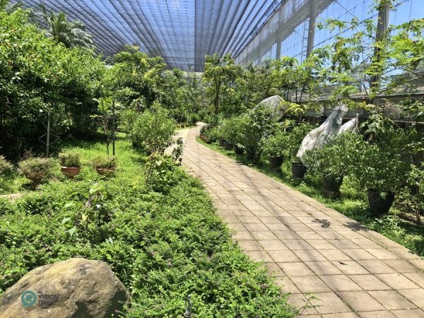 The Butterfly Ecological Garden in Asia Cement Ecological Park. (Image: Billy Shyu / Vision Times)