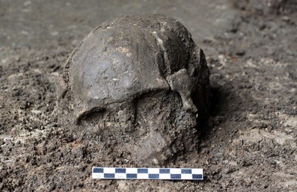 Skull of Qihe 2, a ~8,400-year-old individual from Qihe Cave, Fujian, China (Image: FAN Xuechun)